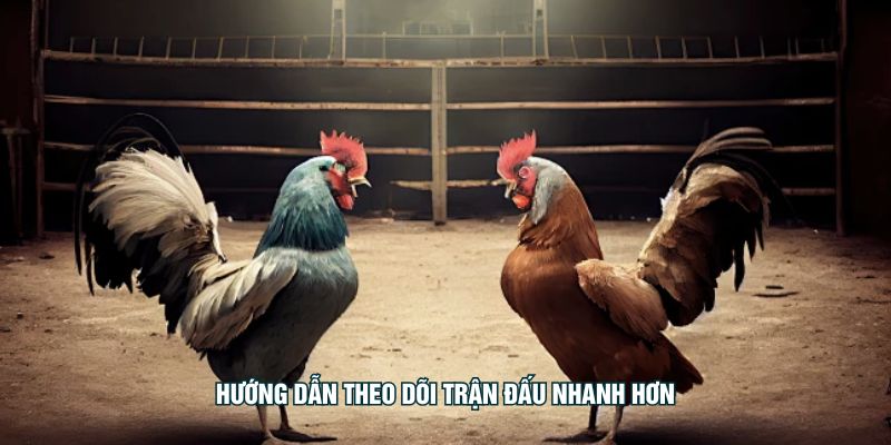 Hướng dẫn theo dõi trận đấu nhanh hơn