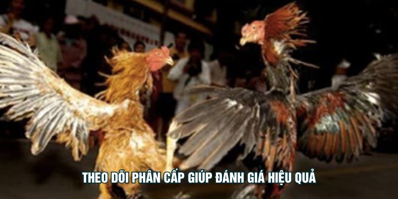 Theo dõi phân cấp giúp đánh giá hiệu quả